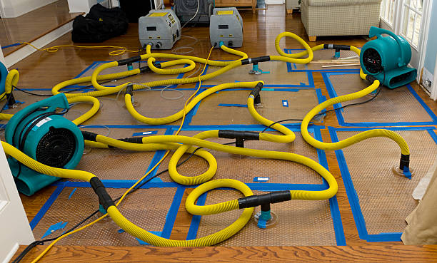 Professional Crawl Space Water Removal technician working in Tyler, MN